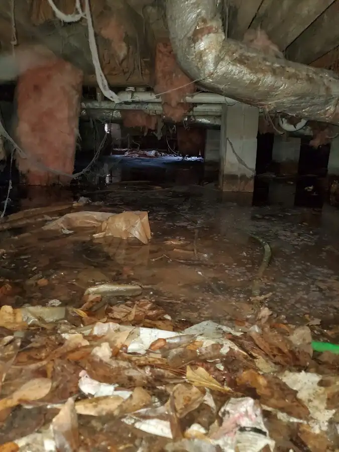 Crawl space flood assessment for Commercial Water Damage Restoration in Poland
